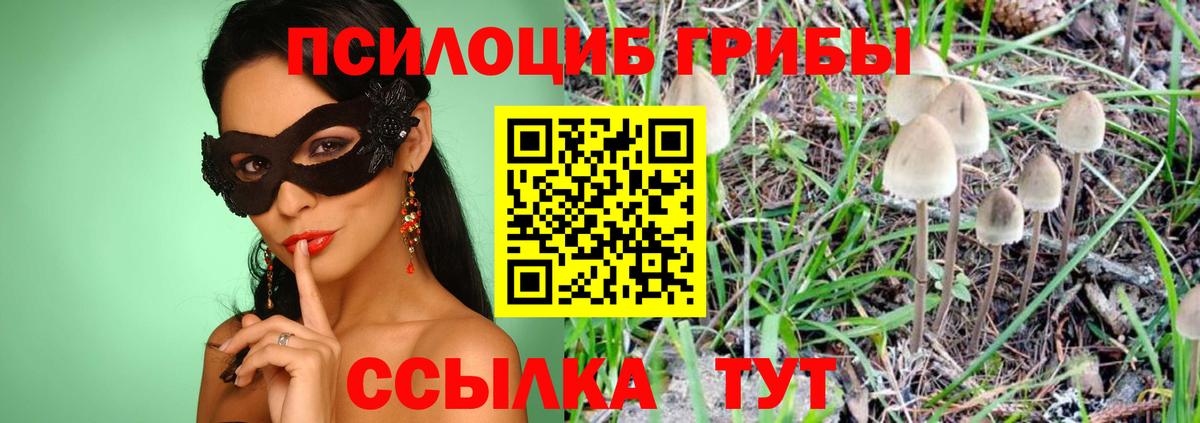 Галлюциногенные грибы прущие грибы  Вход с VPN  Братск  Псилоцибиновые грибы Psilocybe 