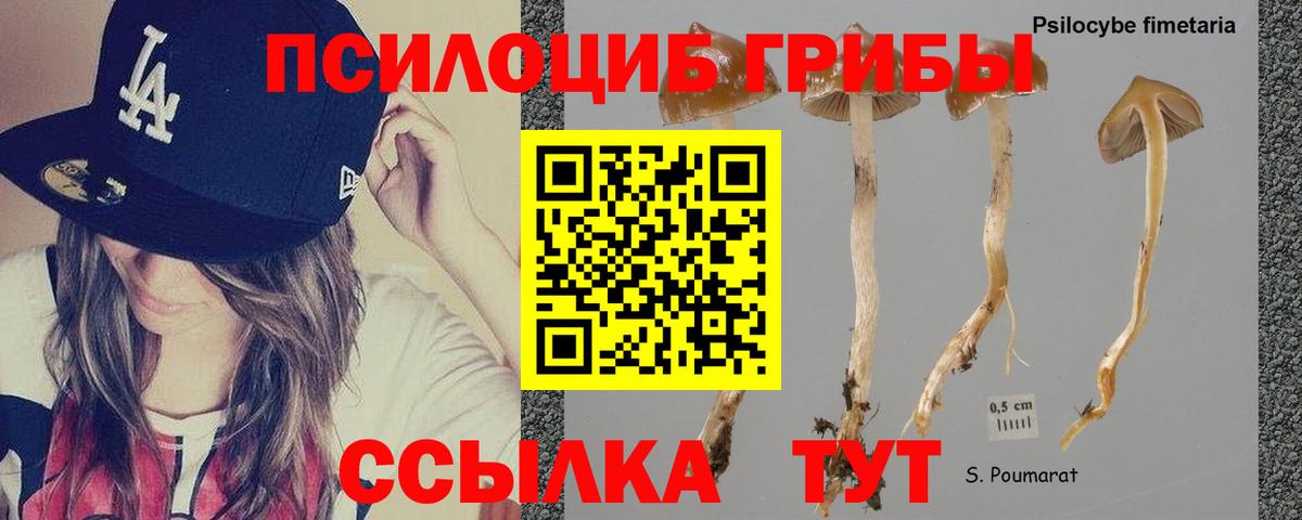 Псилоцибиновые грибы мицелий Братск